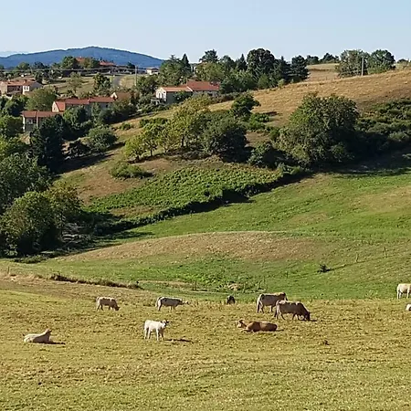Le Ch'ti Auvergnat